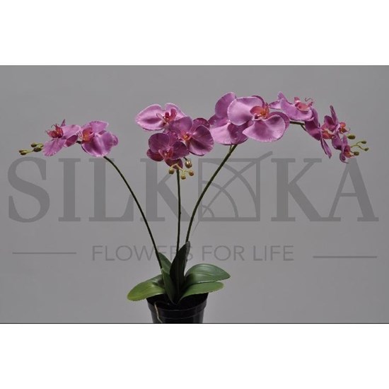 Orchidej v květináči fialová 81 cm_0