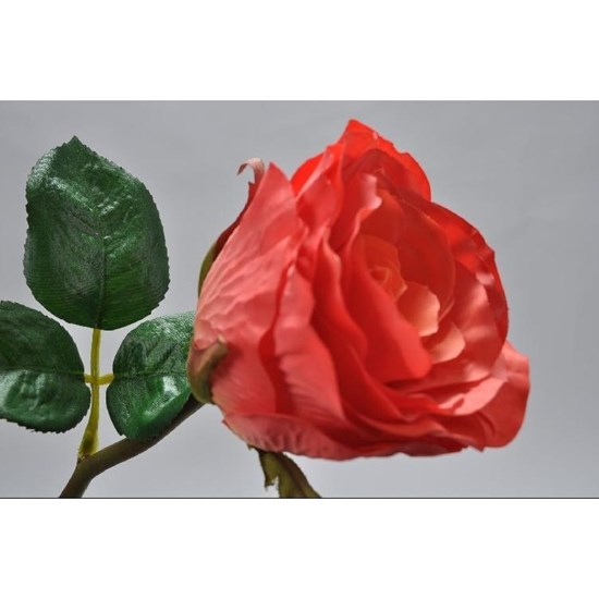 Růže červená 31 cm_0