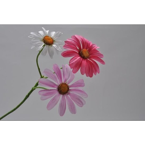 Kopretina bílá/růžová/fialová 33 cm_0