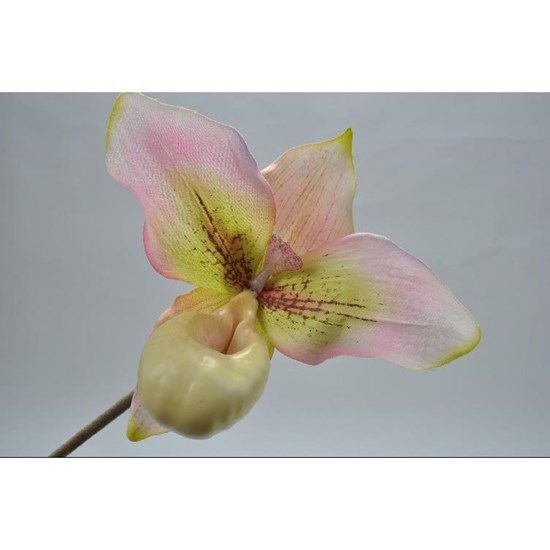 Orchidej žlutá/růžová 58 cm_0