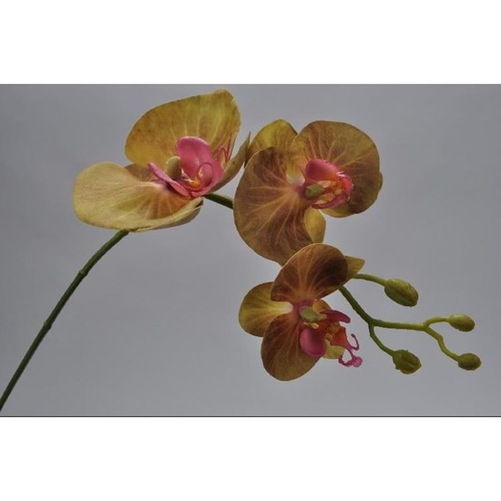 Orchidej větvička zelená 62 cm_0