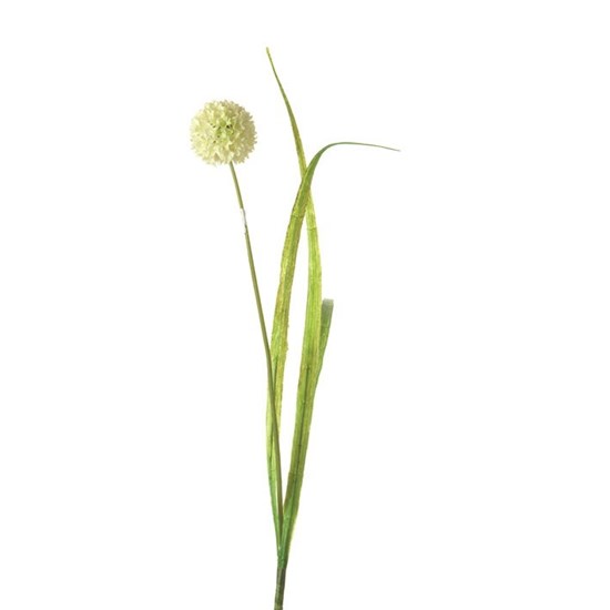 Kytka Alium 50 cm bílá_0