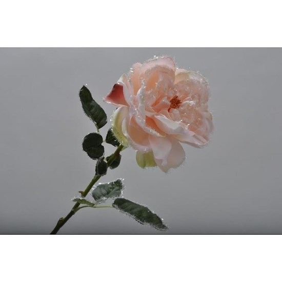 Růže na stonku krémová/zelená 65 cm_0