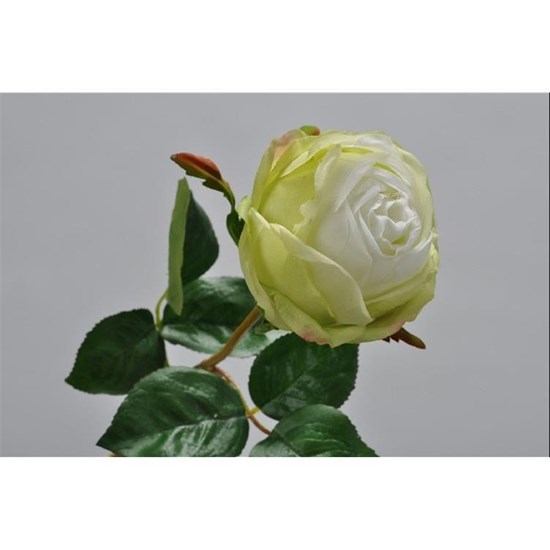 Růže zelená/bílá 46 cm_0
