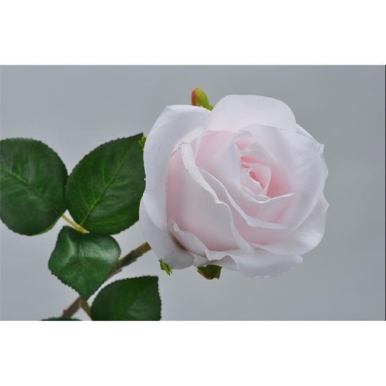 Růže sv. růžová 48 cm_0