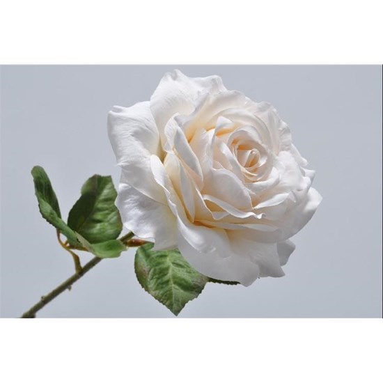 Růže krémová 45 cm_0
