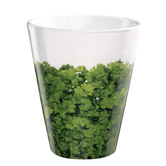 Květináč na bylinky PETRŽEL_0