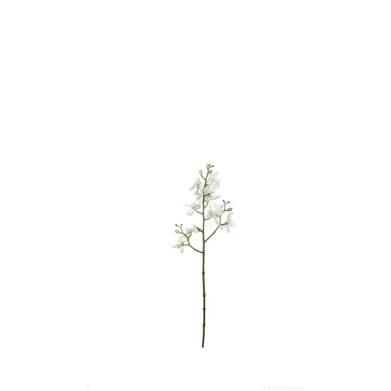 Orchidej 47 cm_0