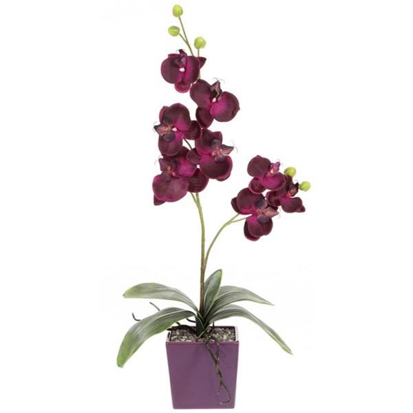 Orchidej 65cm x2 pink (bez květináče)_0