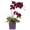 Orchidej 70cm x2 fialová (bez květináče)_0