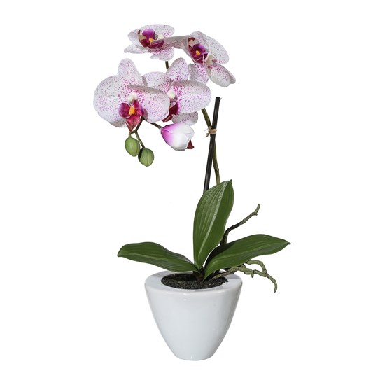 Orchidej Phalenopsis 36cm lila_0