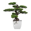 Bonsai 65 cm vč. květináče_0