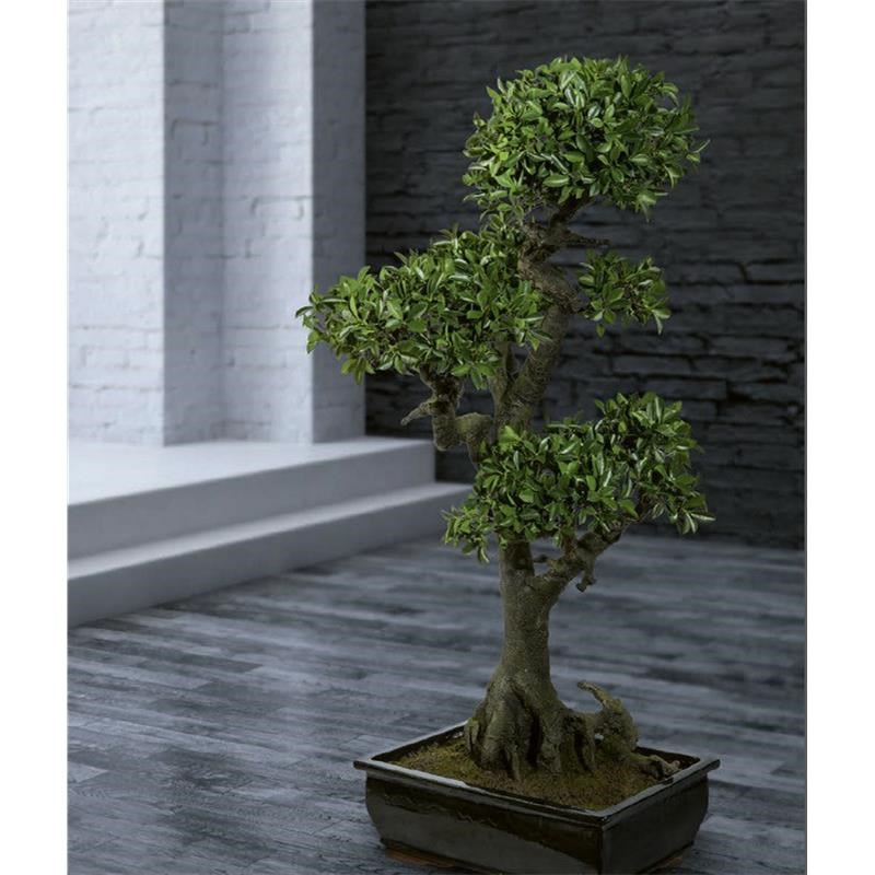 Bonsai Ficus 150 cm (vč.mísy)_0