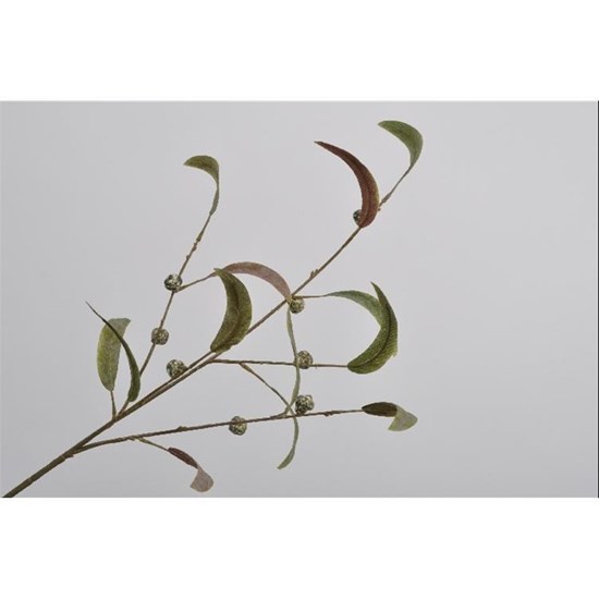 Větvička eukalyptu 80 cm_0