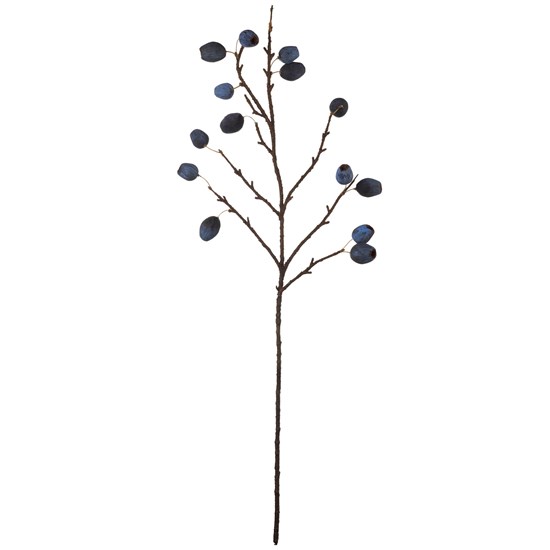 Větvička borůvky 68 cm ASA Selection_0