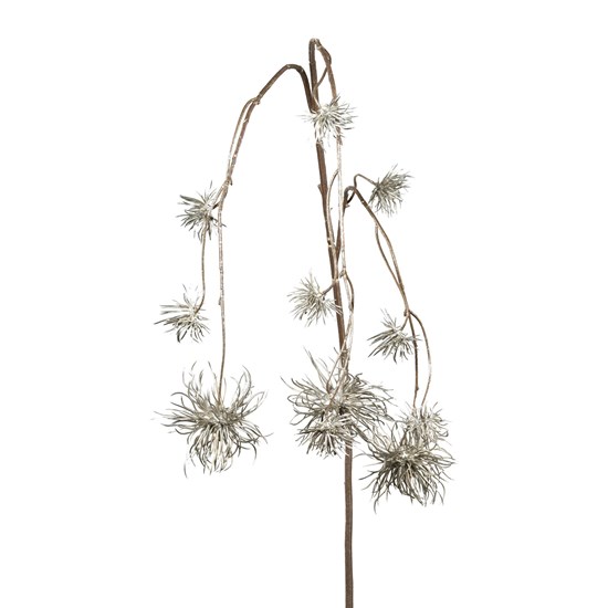 Distelhängezweig 1/Poly_0