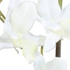 Orchidej Dendrobie 60cm x2 bílá s obalem_0