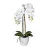 Orchidej Phalenopsis 43cm bílá_1