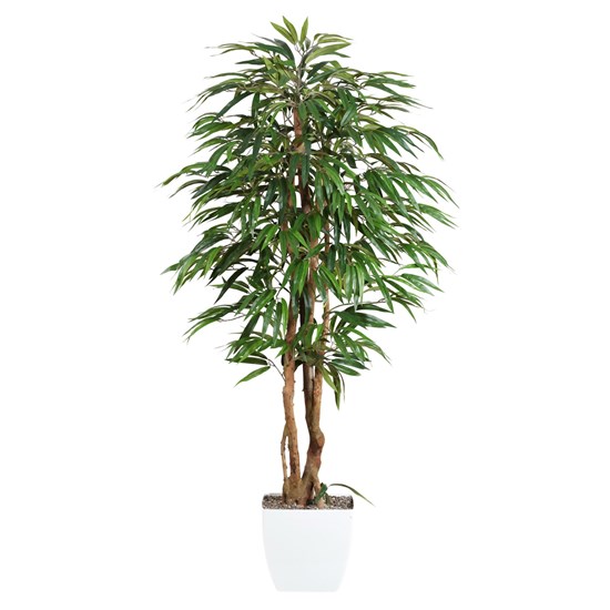 Strom Ficus 150 cm (plastový obal)_0