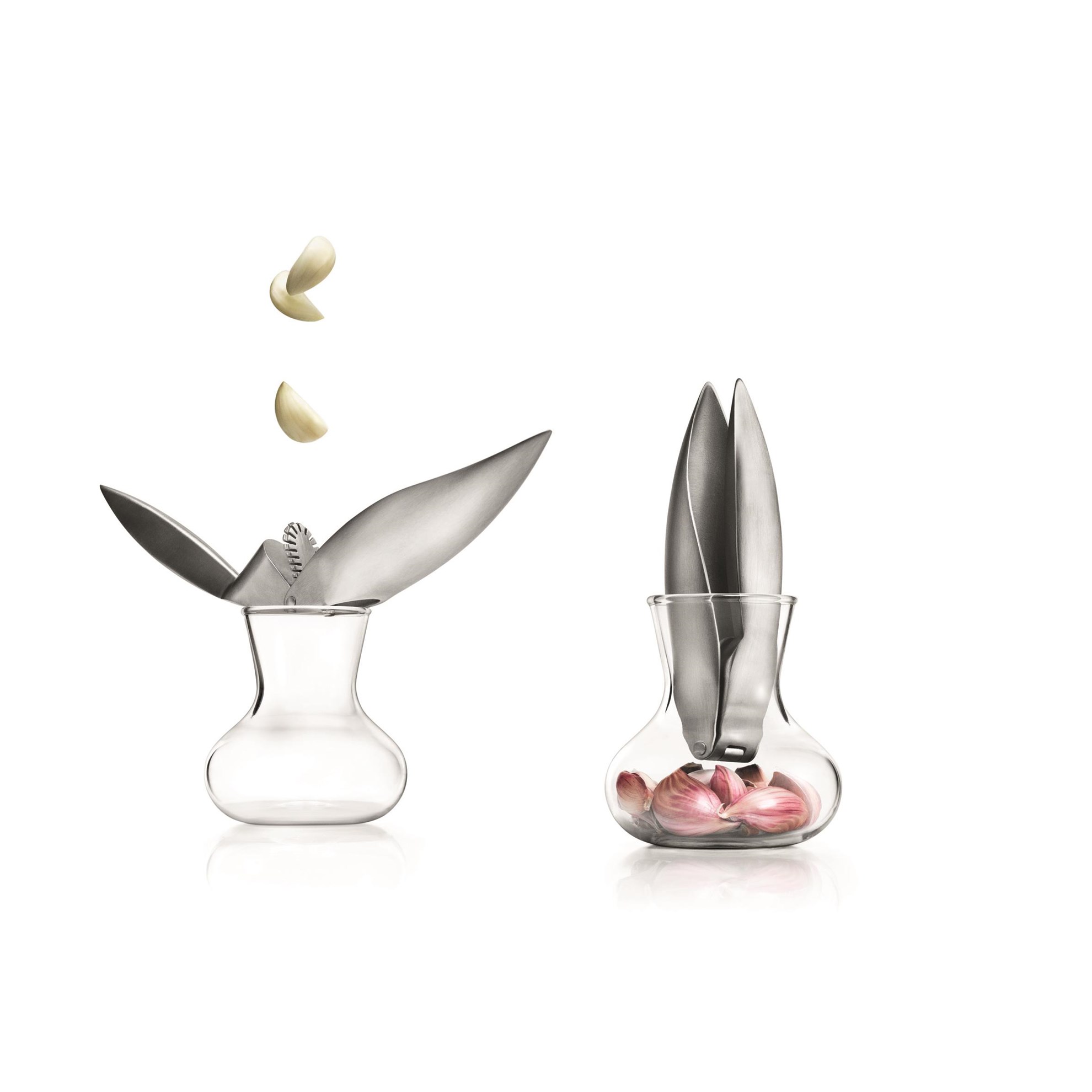 Lis na česnek s nádobkou_0