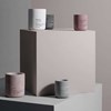 Obrázek z Vonná svíčka Blomus FRAGA L French cotton 
