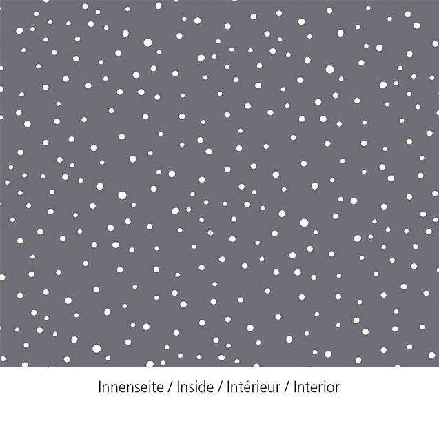 Pouzdro na dokumenty A4/ card board_0