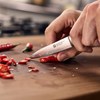 Špikovací nůž 10cm ZWILLING PROFESSIONAL S_0
