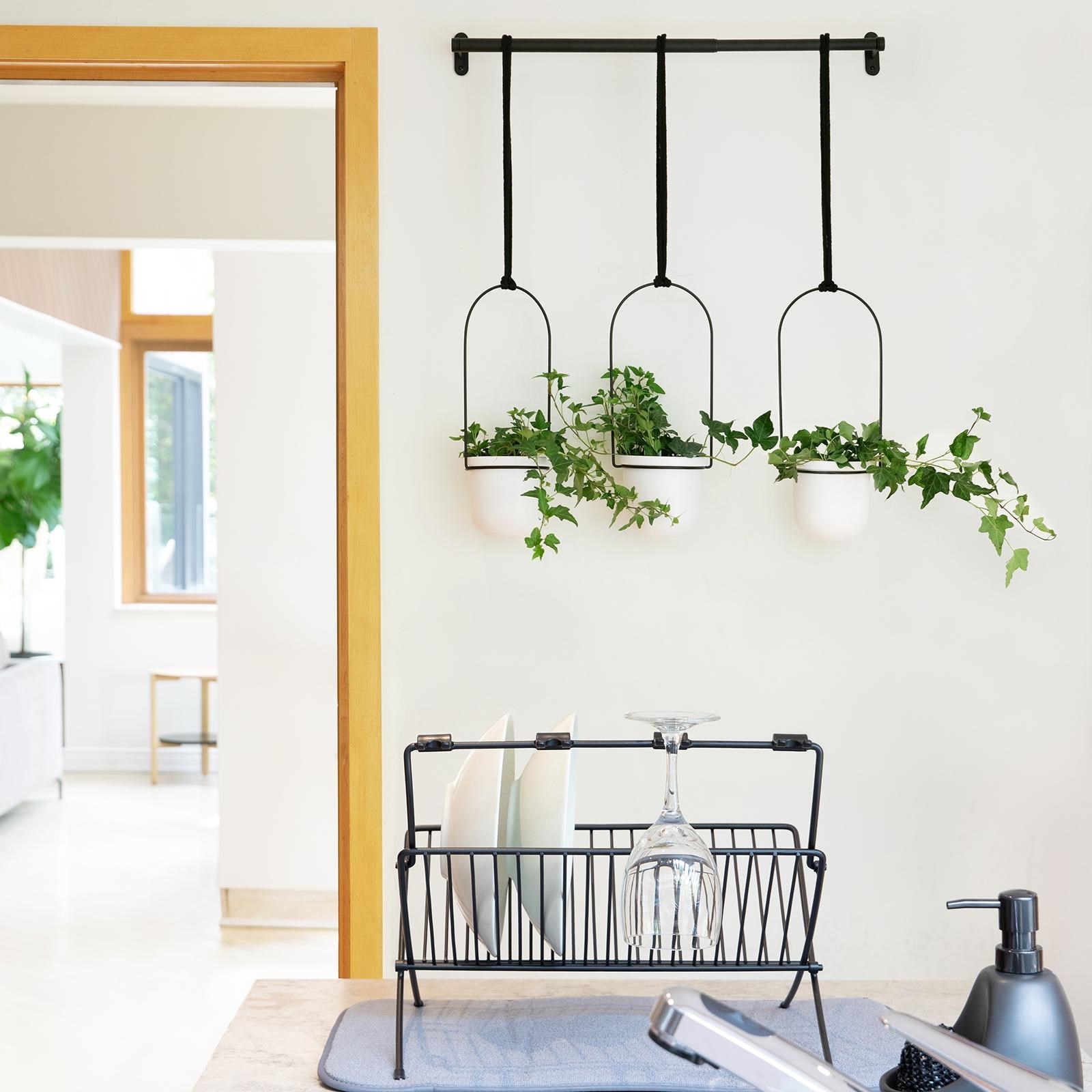 Obrázek z Květináče Umbra TRIFLORA SET/3ks bílá, černá 