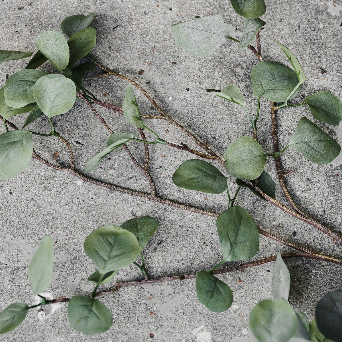 Dekorace větev EUCALYPTUS 80 cm_2