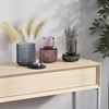 Obrázek z Organizér, dóza s víčkem Umbra ALLIRA MEDIUM fialový 