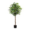 Ficus Benjamin 180cm (plastový obal)_1
