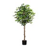 Ficus Benjamin 180cm (plastový obal)_1