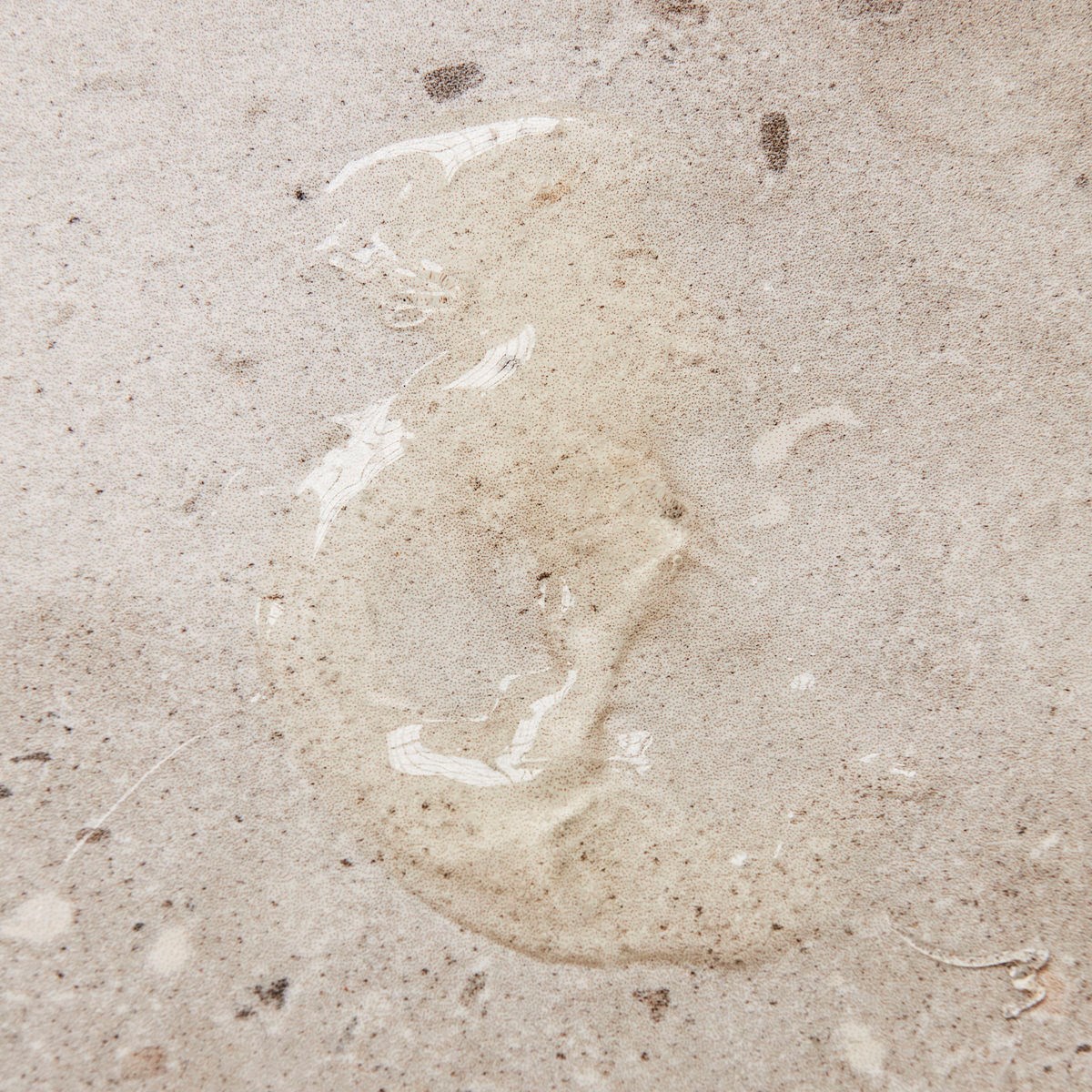 Tekuté mýdlo na ruce MEADOW BLISS 490 ml_1