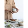Talíř mělký CAJA 26 cm_2
