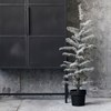 Svítící vánoční strom FLOCKED 70 LED /100 cm zasněžený_1