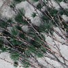 Dekorace větev modřínu LARCH 97 cm přírodní zelená_0