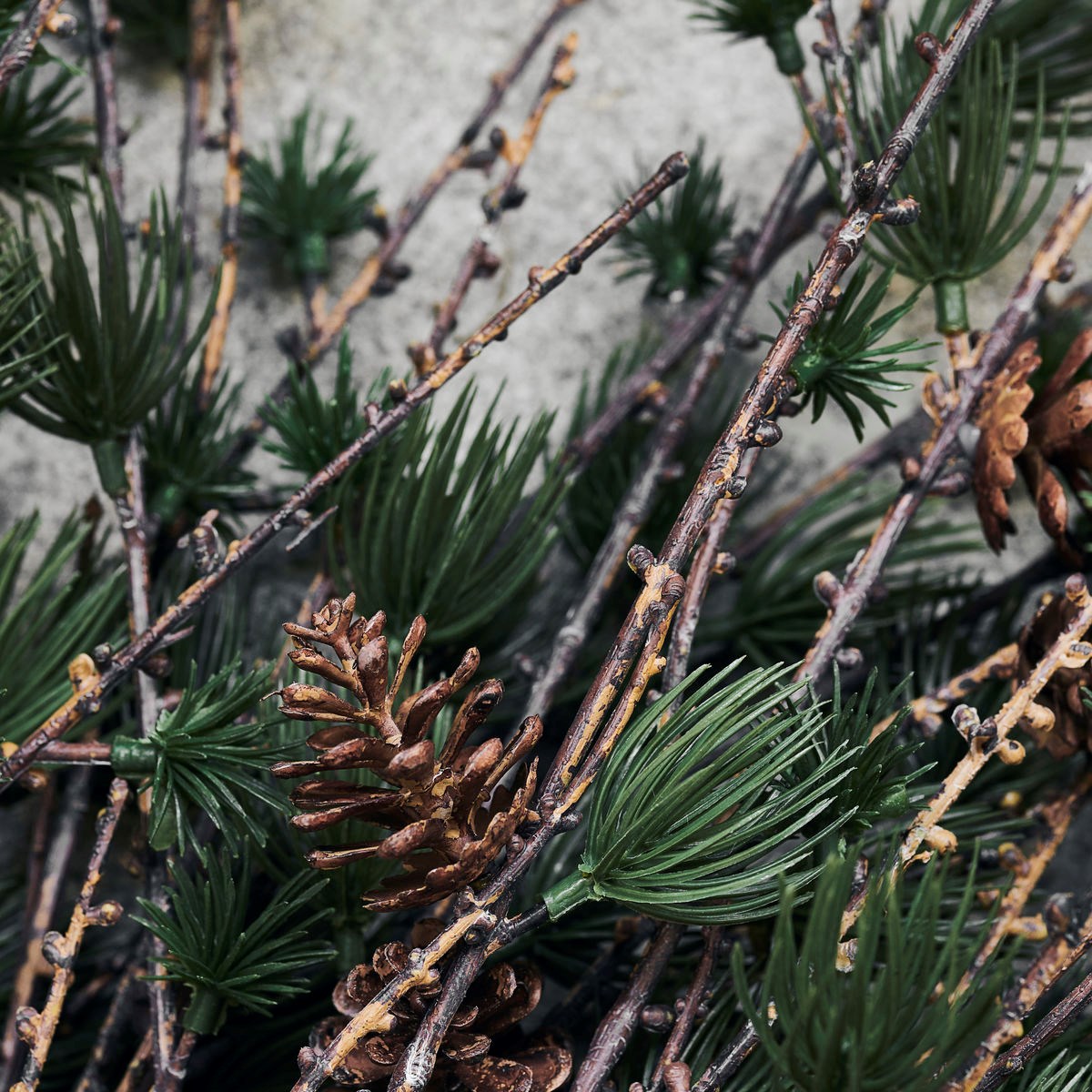 Dekorace větev modřínu se šiškami LARCH 97 cm přír. zelená_2