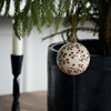 Vánoční ozdoba MACHE 5 cm koule písková_0