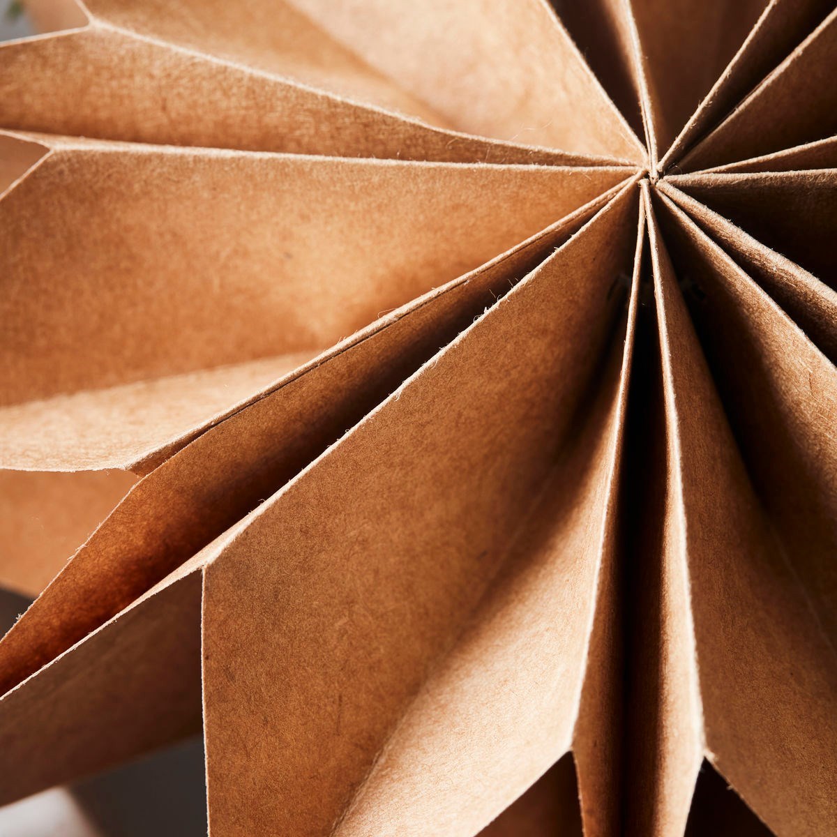 Obrázek z Papírová 12cípá hvězda House Doctor CAPELLA 50cm přírodní hnědá 