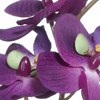 Orchidej 31,5 cm fialová,  bez květináče_0