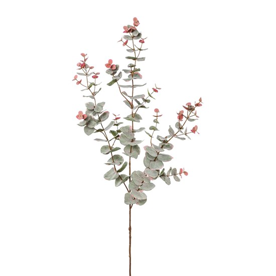 Větvička Eucalyptu 105 cm šedá_0