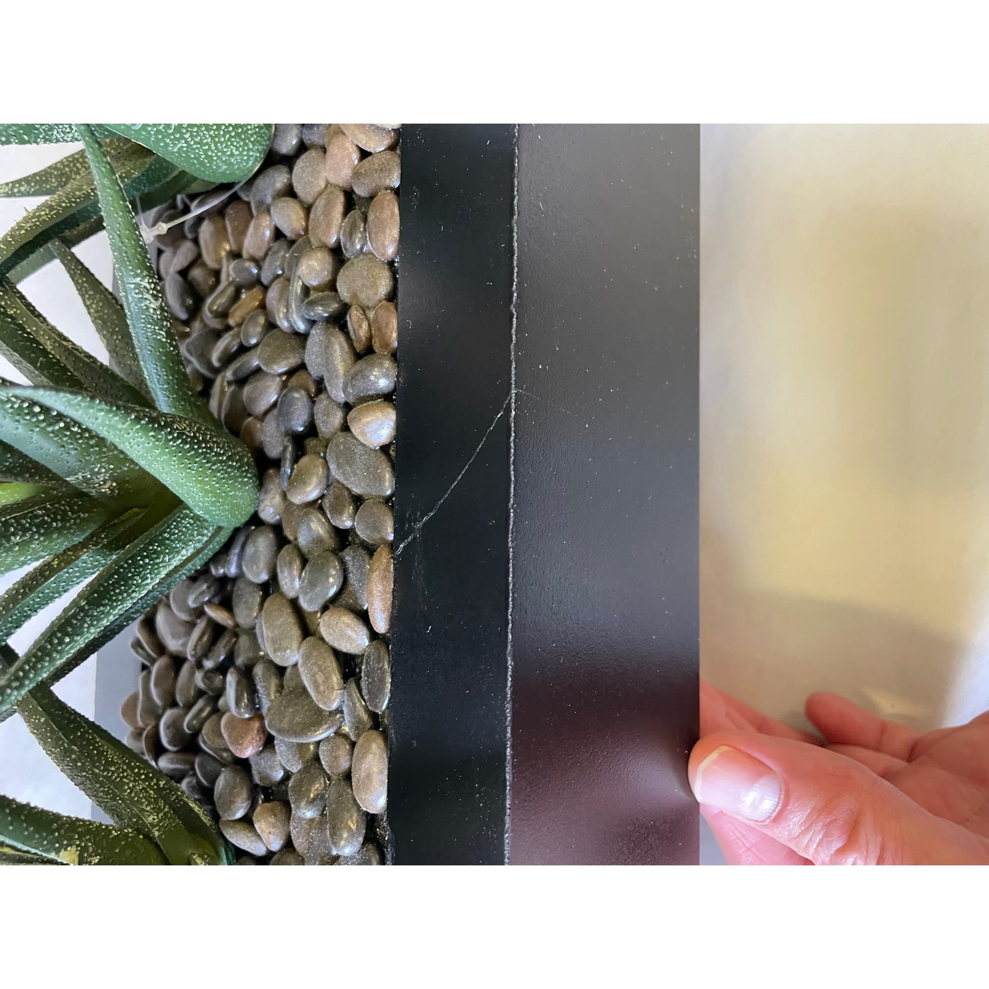 Agave 3ks v květináči (SLEVA LEPIDLO NA DŘEVĚ)_2