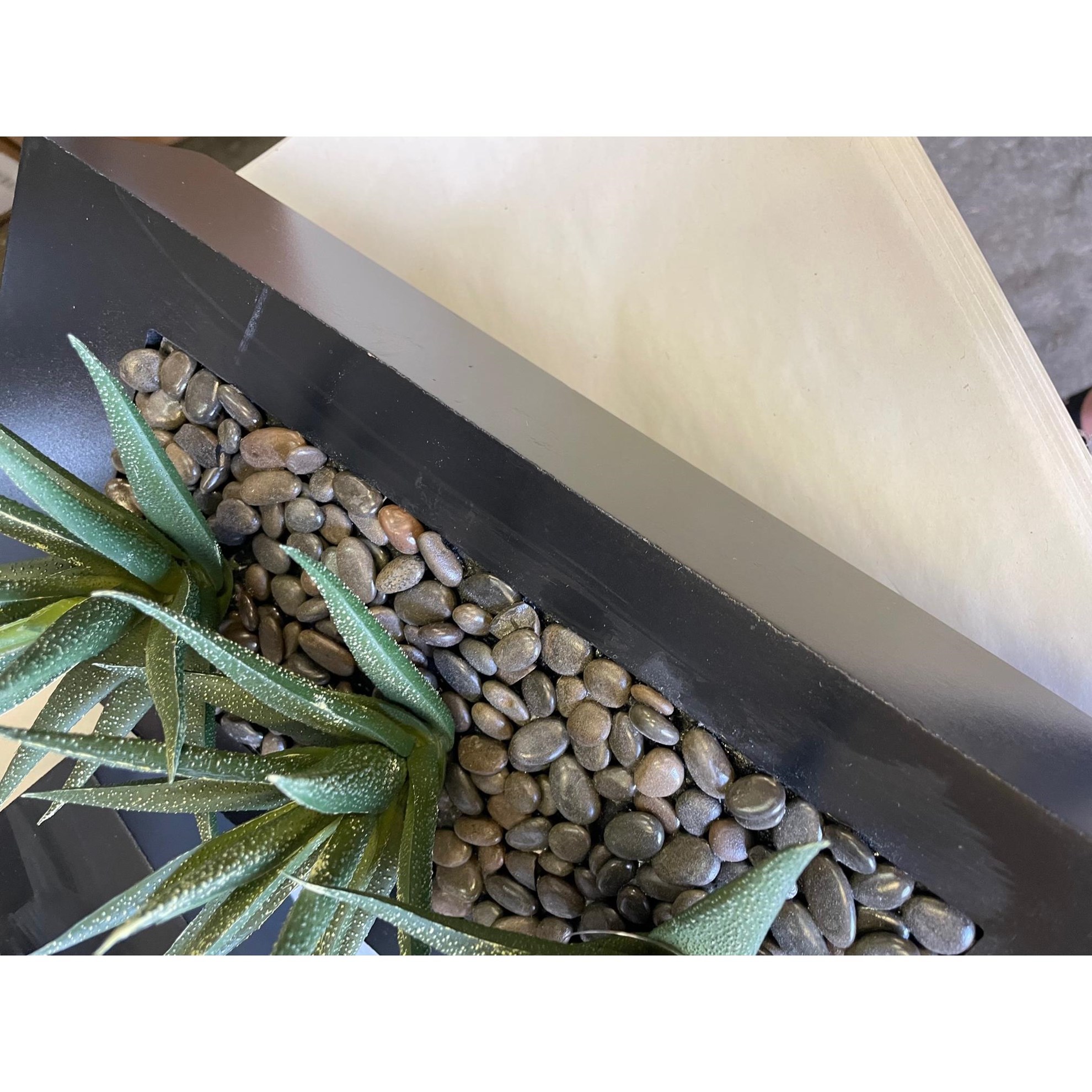 Agave 3ks v květináči (SLEVA LEPIDLO NA DŘEVĚ)_4