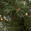 Svítící vánoční strom PINUS 20LED V.60 cm_0
