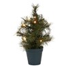Svítící vánoční strom PINUS 10LED V.30 cm_1