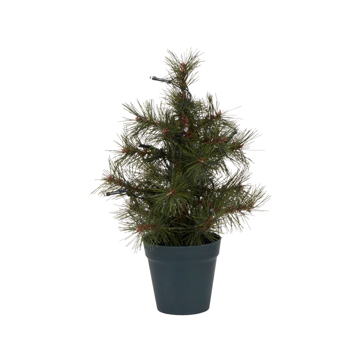 Svítící vánoční strom PINUS 10LED V.30 cm_4
