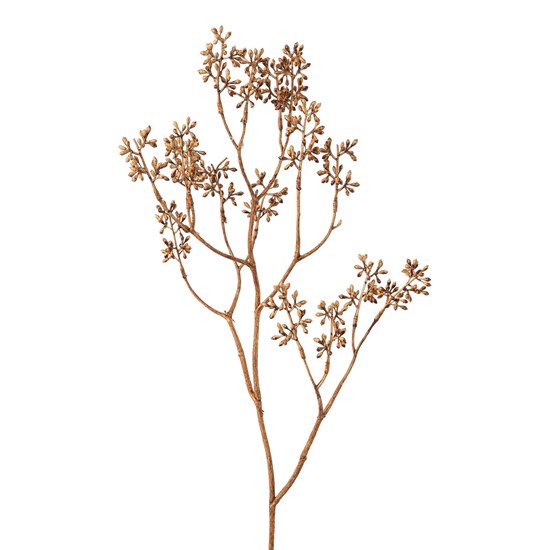 Větev aukalyptu 80 cm_0