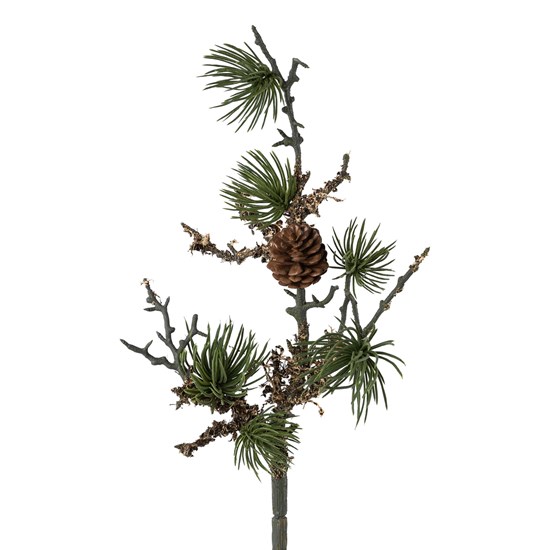 Cedrová větev se šiškami a lišejníkem 55 cm_0