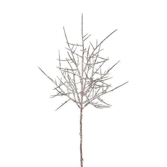 Trnková větev 61 cm přírodní_0