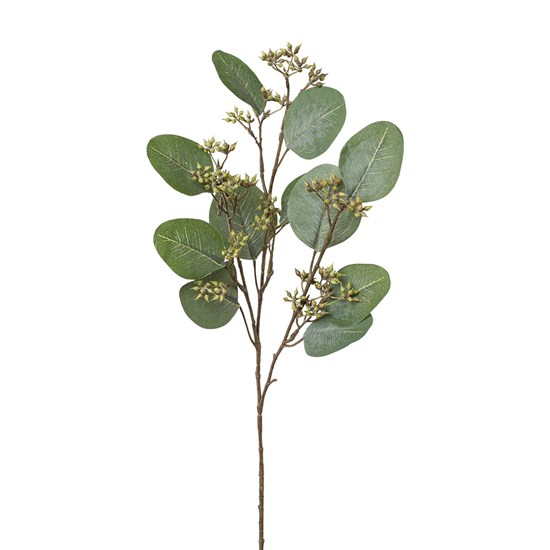 Větvička eukalyptu 52 cm_0